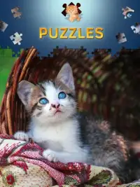 Cats Jigsaw Puzzles Free Screen Shot 0