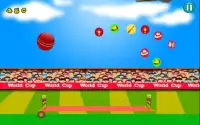 Cricket Unlimited Screen Shot 8