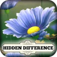 Hidden Difference: May Flowers