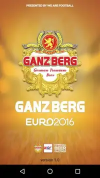 Ganzberg Euro 2016 Screen Shot 6