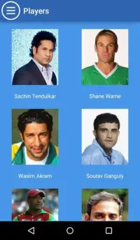 Cricket All Stars 2015 Screen Shot 4