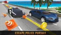 Highway Police Vs Auto Theft Screen Shot 4
