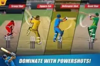 Power Cricket T20 Screen Shot 7