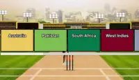 LPC Cricket Masters Screen Shot 1