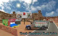 Truck Simulator Off road Drive Screen Shot 3