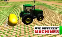 Green Farm Tractor Simulator Screen Shot 3