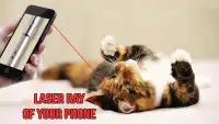 Laser Pointer for Cat FREE Screen Shot 4