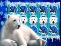 Polar Bear: Free Slots Casino Screen Shot 1