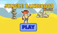 Jungle Bandicoot World Screen Shot 3