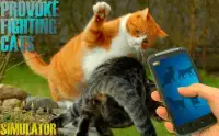 Tease Cat Provocation Fighting Screen Shot 1