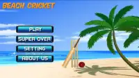 Beach Cricket 2016! Screen Shot 9