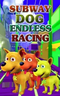Subway Dog :endless run racing Screen Shot 4
