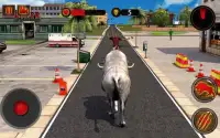 Angry Buffalo Attack 3D Screen Shot 5