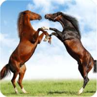 Horse Puzzle Jigsaw for Kids