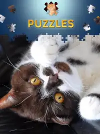Cats Jigsaw Puzzles Free Screen Shot 1