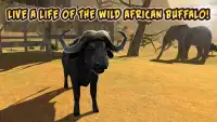 Buffalo Sim: Bull Wild Life Screen Shot 3