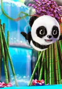 Daily Panda: حيوان افتراضي Screen Shot 2