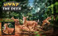Hunt the Deer 2016 Screen Shot 2