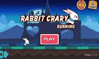 Rabbit Crazy Running Screen Shot 4