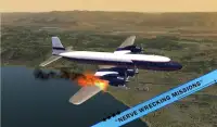 Plane Emergency Crash Landing Screen Shot 5