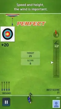 Archery Ace Screen Shot 10
