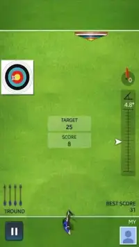 Archery Ace Screen Shot 11