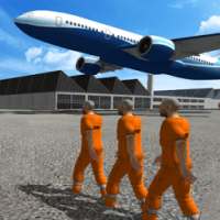 Police Airplane Prison Flight