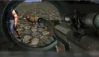 Dog Revenge vs Expert Sniper Screen Shot 4
