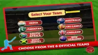 Cricket World Cup 2015 Screen Shot 23