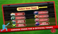 Cricket World Cup 2015 Screen Shot 7