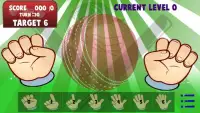 Hand Cricket Screen Shot 1