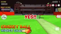 Cricket Ball Wicket Smash Screen Shot 2