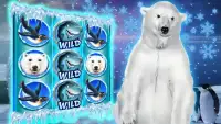 Polar Bear: Free Slots Casino Screen Shot 2