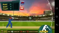 World Cricket: I.P.L T20 2016 Screen Shot 2