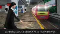 Seoul Subway Train Simulator Screen Shot 3