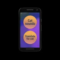 The Cat Translator Simulator Screen Shot 2