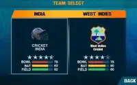 IND vs WI 2017 Cricket Game Screen Shot 3