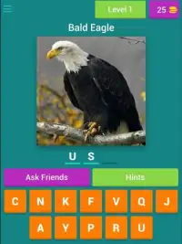 Guess The National Animals Screen Shot 11