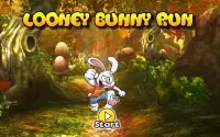 Looney Bunny Run Screen Shot 1