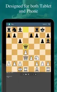 Super Chess Screen Shot 0