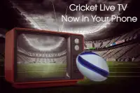 Cricket score 2017 Screen Shot 2