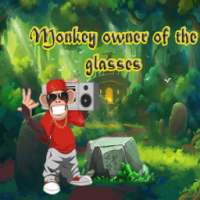 Monkey owner of the glasses