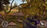 Safari Sniper Hunter 3D Screen Shot 2