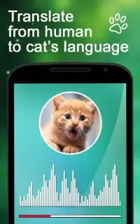 Translator for Cats Prank Screen Shot 3