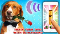 Ultrasound Dog Whistle Screen Shot 2