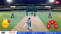 Power Cricket T20 Cup 2016 Screen Shot 5
