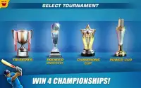 Power Cricket T20 Cup 2016 Screen Shot 6
