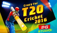 I.P.L T20 Cricket 2016 Craze Screen Shot 5