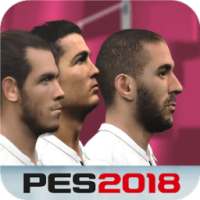 Tips for PES 2018