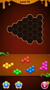 Hexa Puzzle Block Mania Screen Shot 2